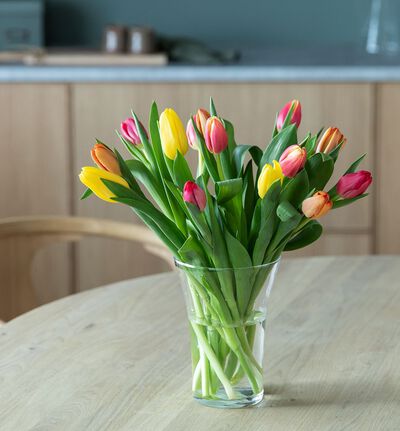 Tulipaner i varm fargemiks